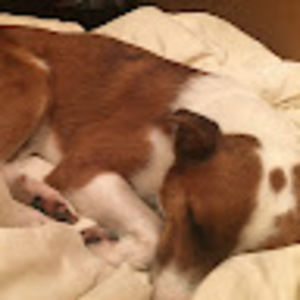 Meet your Posher, Amara